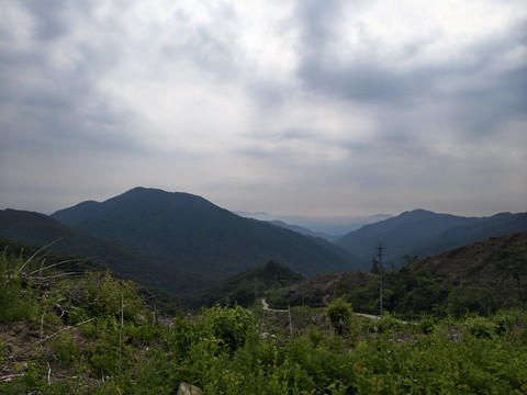 IMG_20260614_092026161_HDR.jpg