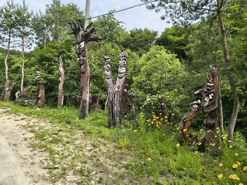 IMG_20260614_084038148_HDR.jpg