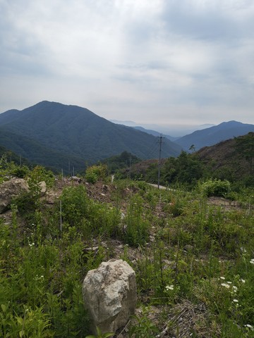 IMG_20260614_091946793.jpg