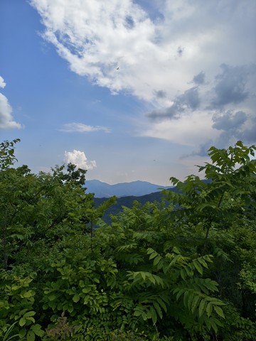 IMG_20260614_151128229_HDR.jpg