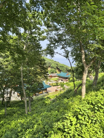 IMG_20260617_154721387_HDR.jpg