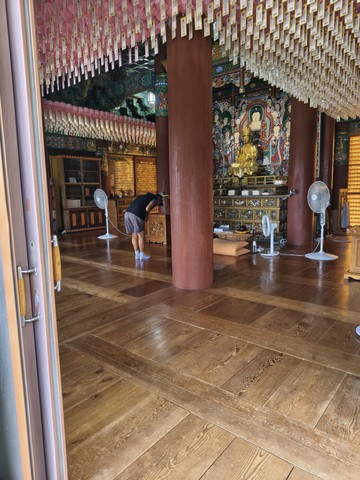 IMG_20260617_154419682_HDR.jpg