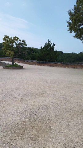VID_20260617_153944254.mp4