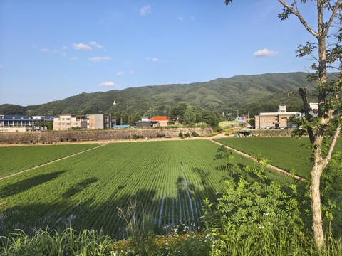 IMG_20260618_181916340_HDR.jpg