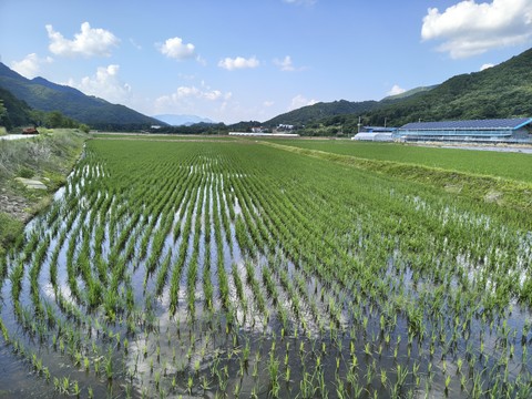 IMG_20260618_161626984_HDR.jpg
