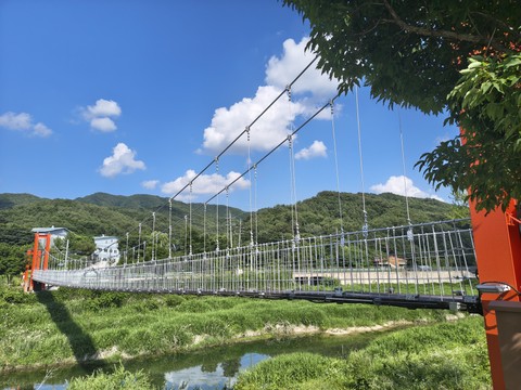 IMG_20260618_155521722_HDR.jpg