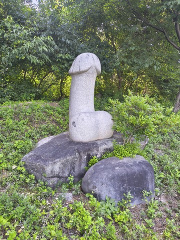 IMG_20260618_155728456_HDR.jpg