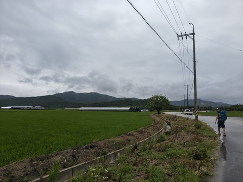 IMG_20260620_093414759_HDR.jpg