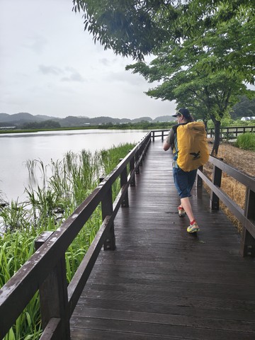 IMG_20260620_114624232_HDR.jpg