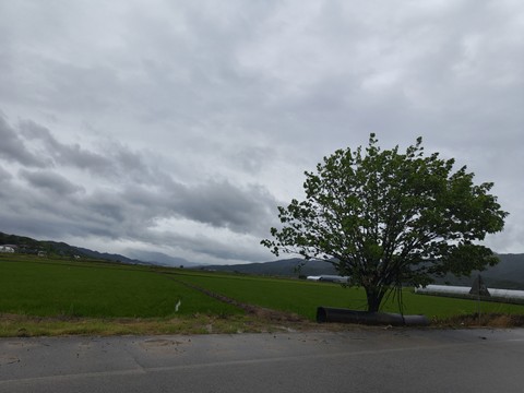 IMG_20260620_093527763.jpg