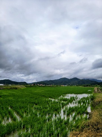 IMG_20260620_152010571_HDR~2.jpg