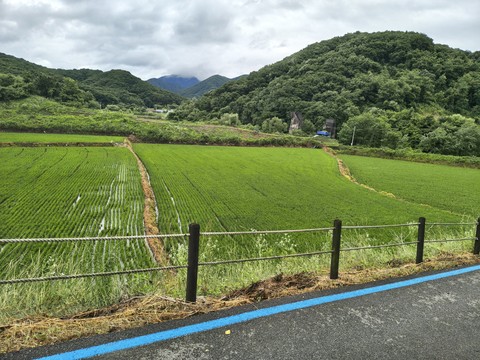 IMG_20260620_154729492_HDR.jpg