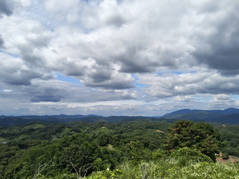IMG_20260621_151604450_HDR.jpg