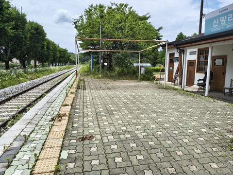 IMG_20260621_122341190_HDR.jpg