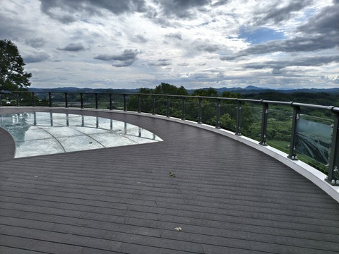 IMG_20260621_160802598_HDR.jpg