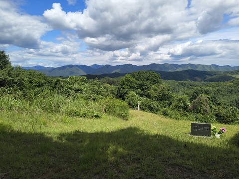 IMG_20260621_145137639.jpg