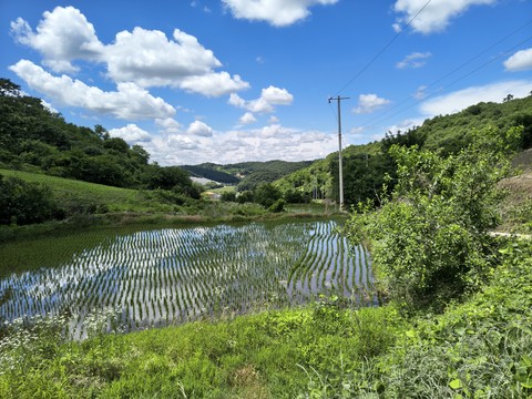 IMG_20260621_134250224_HDR.jpg