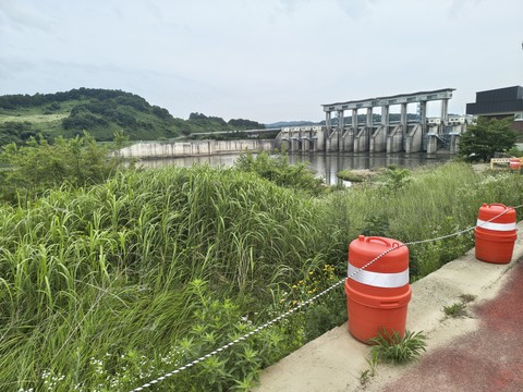 IMG_20260622_085051797_HDR.jpg