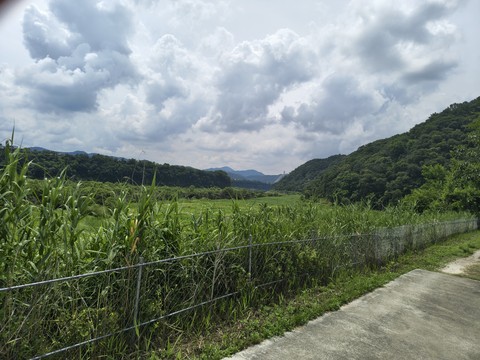 IMG_20260622_115842780_HDR.jpg