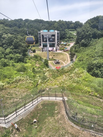 IMG_20260624_113709897_HDR.jpg
