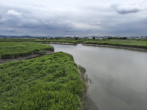 IMG_20260625_161011494_HDR.jpg