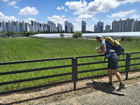 IMG_20260626_123059776_HDR.jpg
