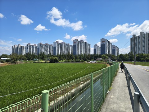 IMG_20260626_123422291_HDR.jpg