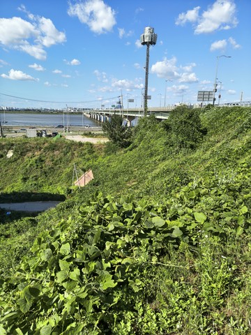IMG_20260626_162458103_HDR.jpg