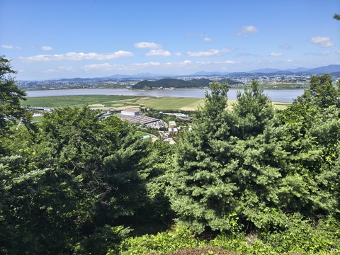 IMG_20260626_110500377_HDR.jpg