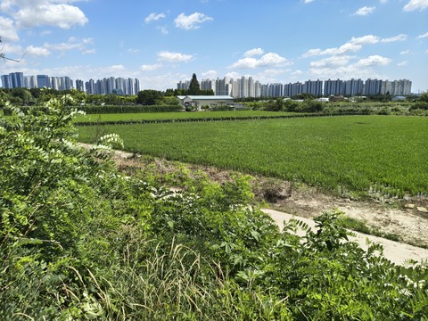 IMG_20260626_142950101_HDR.jpg