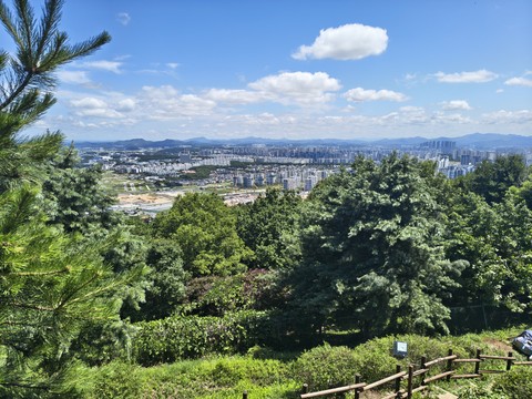 IMG_20260626_110535654_HDR.jpg