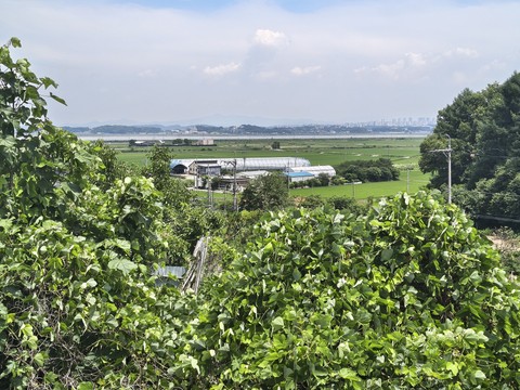 IMG_20260627_130937337_HDR.jpg
