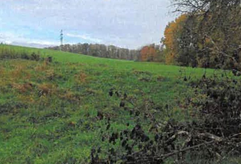 Grundstück in , 74931 Lobbach OT Waldwimmersbach - Bild 4