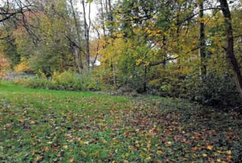 Grundstück in , 74931 Lobbach OT Waldwimmersbach - Bild 3