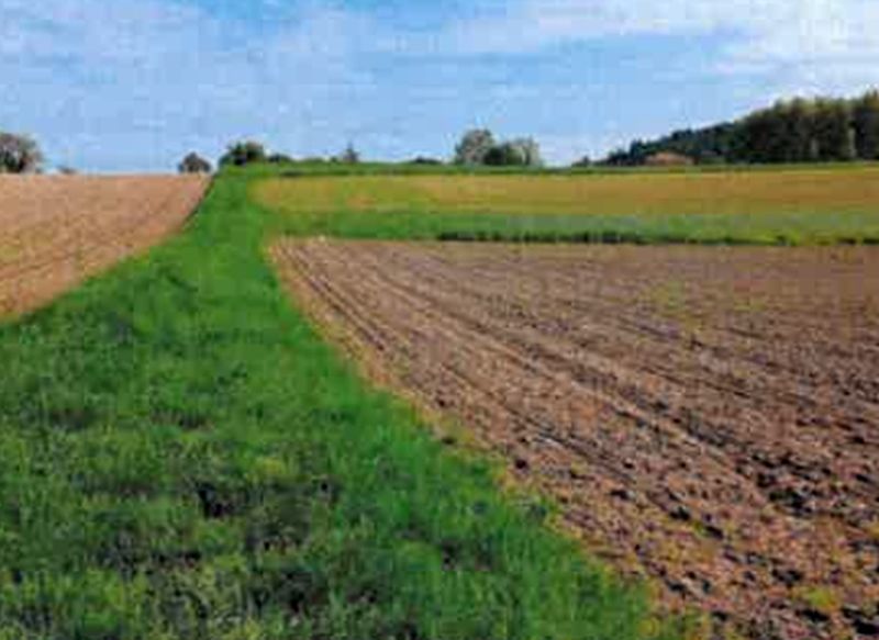 Land-/Forstwirtschaft in , 74889 Sinsheim (Hoffenheim) - Bild 2
