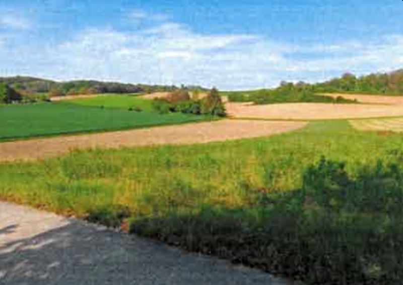 Land-/Forstwirtschaft in , 74889 Sinsheim (Hoffenheim) - Bild 3