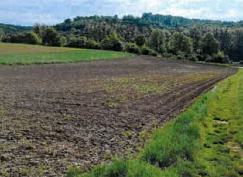 Land-/Forstwirtschaft in , 74889 Sinsheim (Hoffenheim)