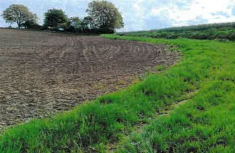 Land-/Forstwirtschaft in , 74939 Zuzenhausen - Bild 4