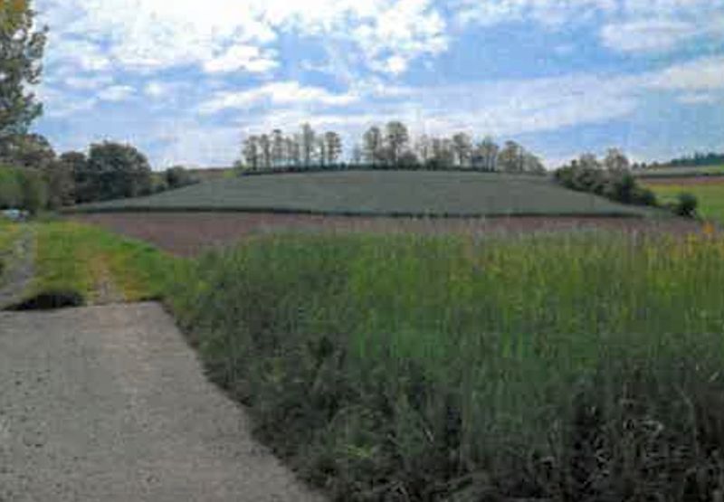 Land-/Forstwirtschaft in , 74939 Zuzenhausen - Bild 2
