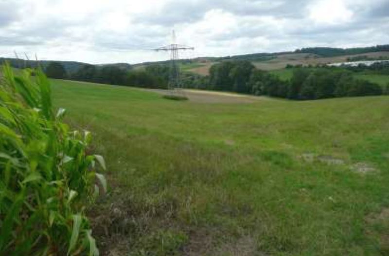 Land-/Forstwirtschaft in , 74937 Spechbach - Bild 2