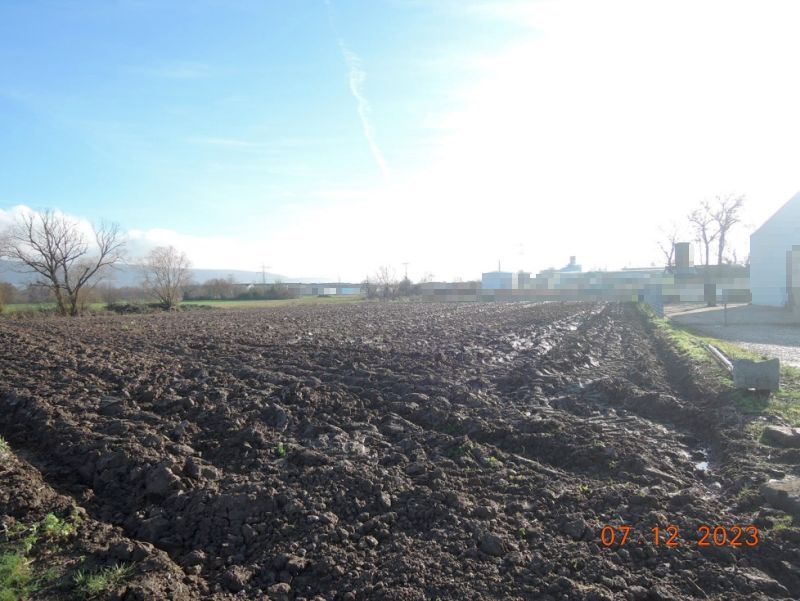 Land-/Forstwirtschaft in , 69181 Leimen - St. Ilgen - Bild 2