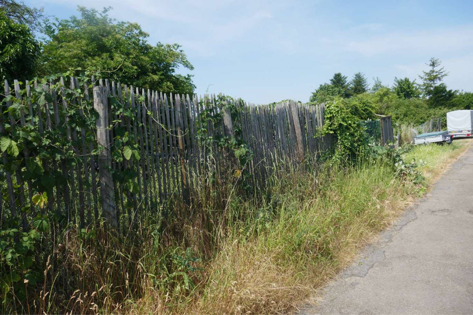 land- und forstwirtschaftlich genutztes Grundstück in Auf die Heggewann, 00000 Mannheim - Bild 2