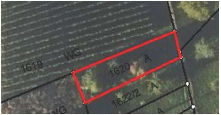land- und forstwirtschaftlich genutztes Grundstück in Locheneich, 77654 Offenburg, Fessenbach