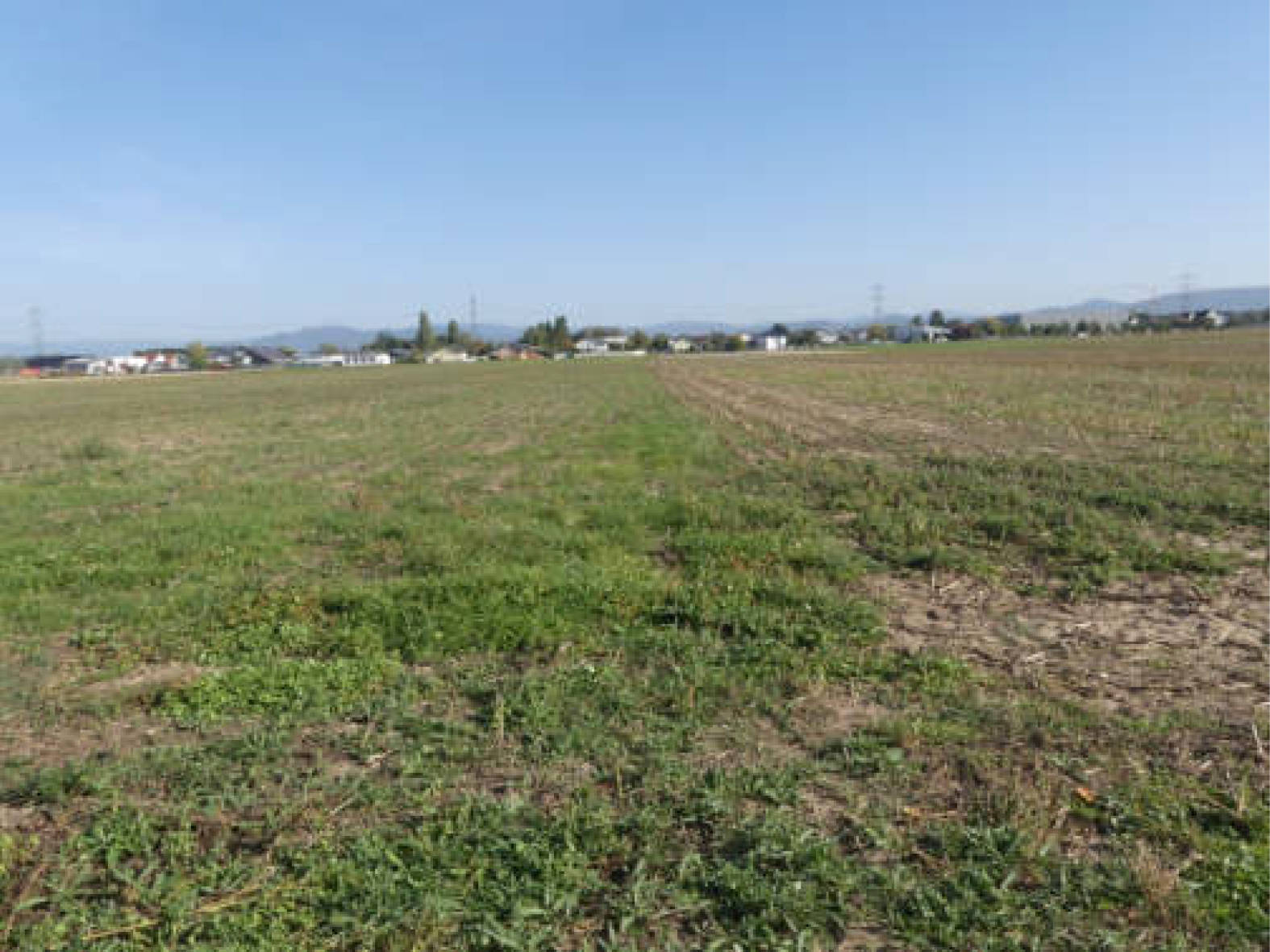 Baugrundstück, land- und forstwirtschaftlich genutztes Grundstück in Schaflacher Feld, Mehrkorn, 77743 Neuried, Altenheim - Bild 2