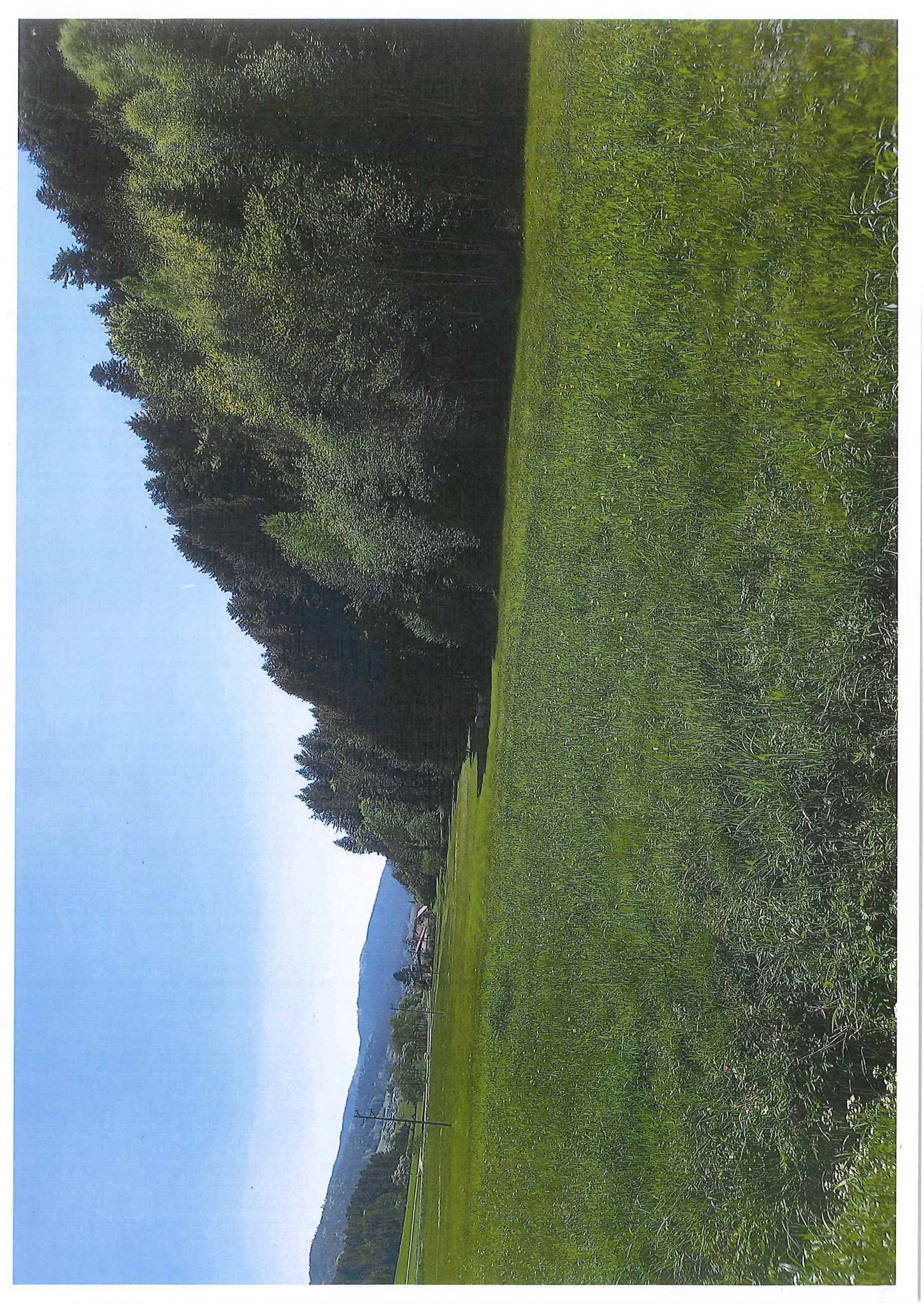 baden-wuerttemberg 0002K0004-2022 Kesselmatt, 77736 Zell a. H.