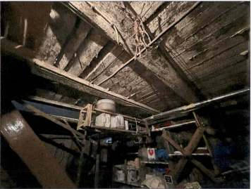 baden-wuerttemberg 0002 K 0007/2024 St. Urbanstraße 20, 77704 Oberkirch, Tiergarten 23