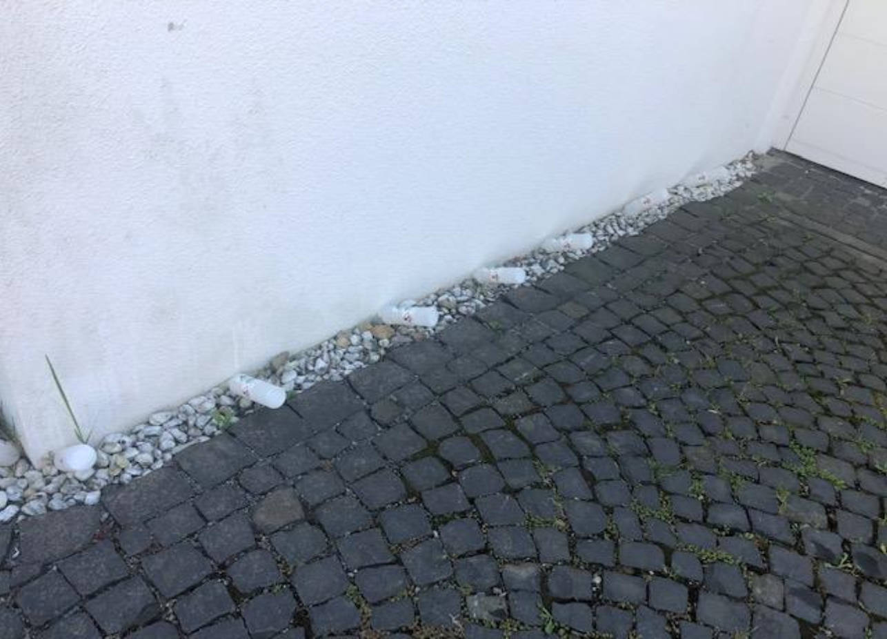 Einfamilienhaus, Grünland in Allmendeweg  11, 88400 Biberach, Ringschnait - Bild 4