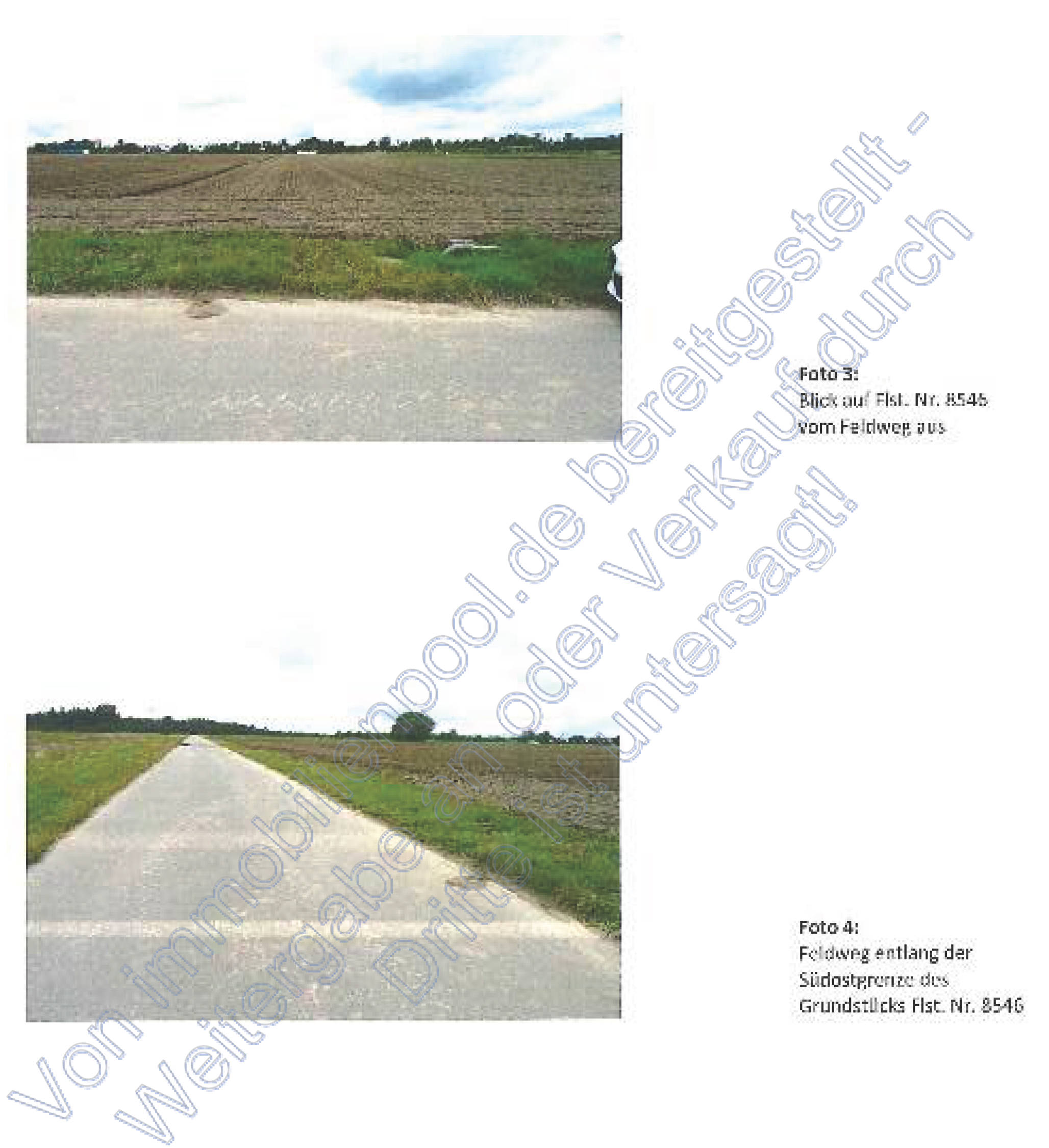 land- und forstwirtschaftlich genutztes Grundstück in Neufeld 15te Gewann, 00000 Altlußheim - Bild 3