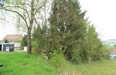 Einfamilienhaus in Mathias-Eberle-Weg  17, 88471 Laupheim, Bihlafingen - Bild 3