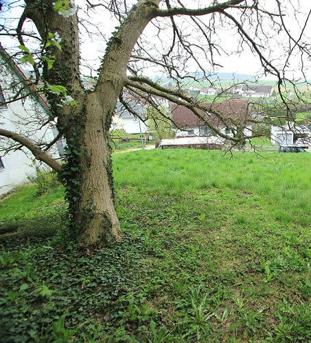 baden-wuerttemberg 0002 K 0038/2023 Mathias-Eberle-Weg  17, 88471 Laupheim, Bihlafingen 30